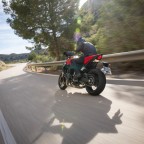 Honda CB1000 Hornet - Modell 2025 (SC86)