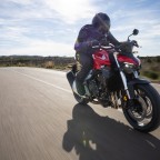 Honda CB1000 Hornet - Modell 2025 (SC86)