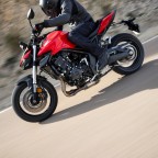 Honda CB1000 Hornet - Modell 2025 (SC86)